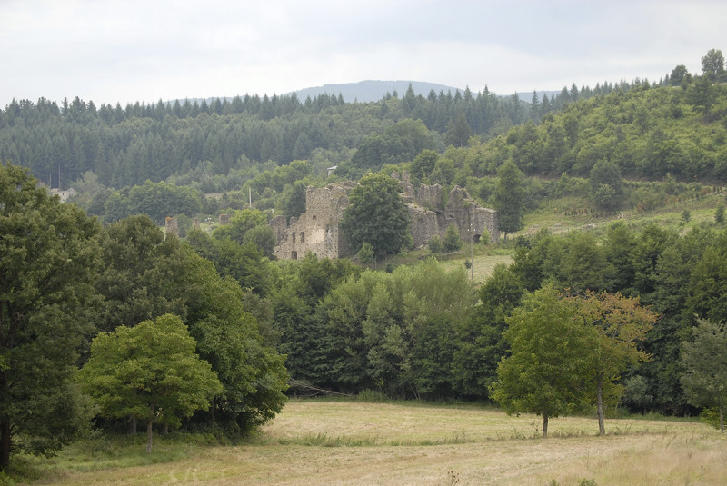 Abbazia di S. Maria di Corazzo - Carlopoli (CZ)